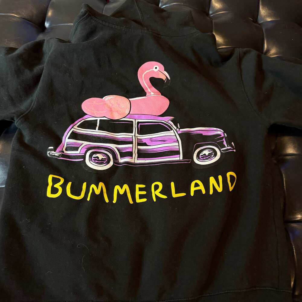 AJR Bummerland Flamingo Hoodie size small
